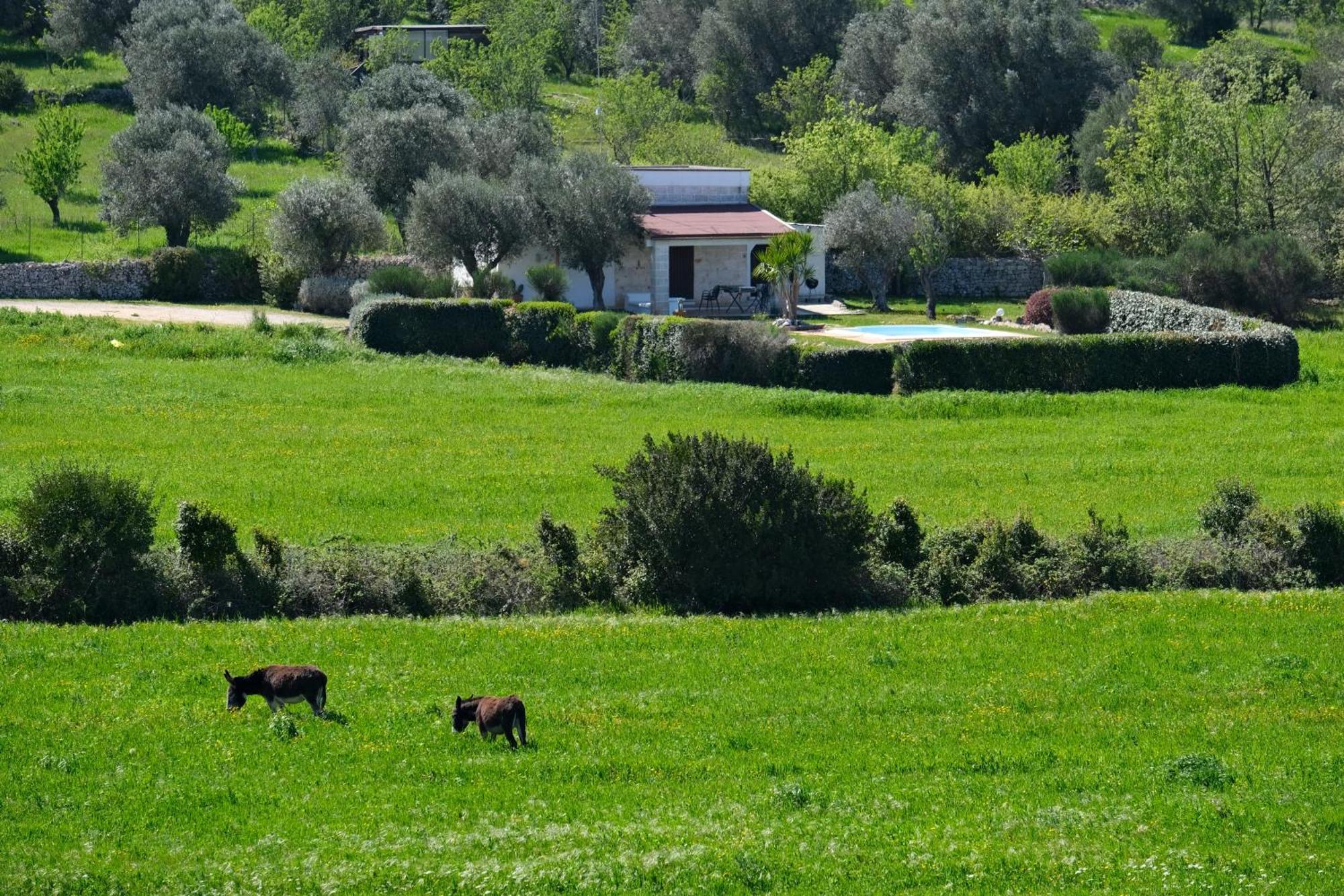 Terra Sessana Ville E Trullo Con Piscina Privata Ostuni Exterior photo